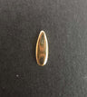 gema dental oro 18k anatomica glowgems tooth gem